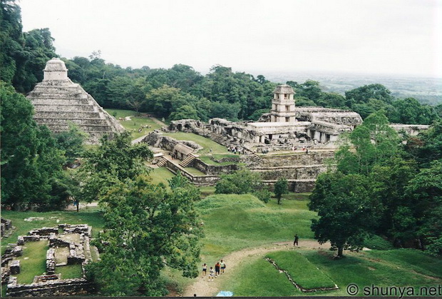 Image Image